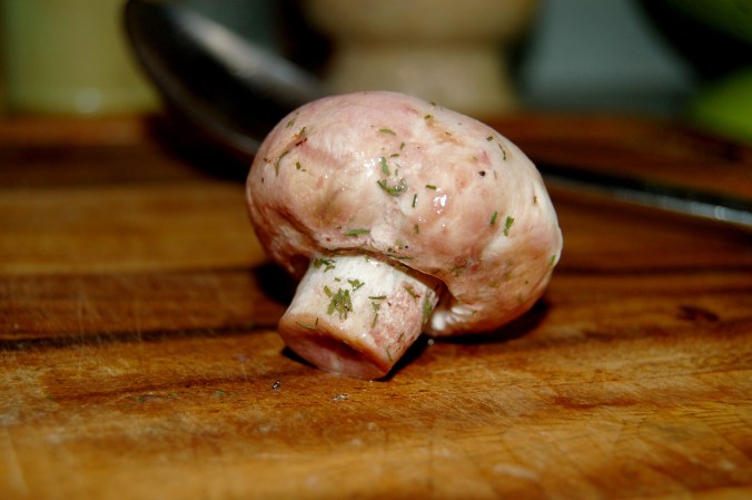 Mushrooms are just so cute! 